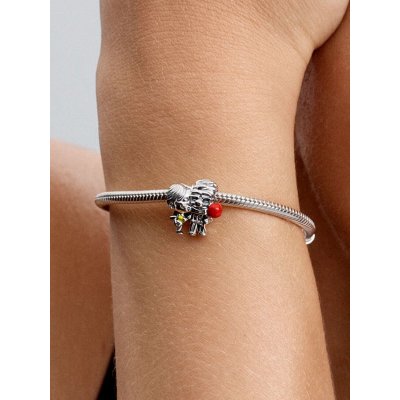 Pandora Charm Karl e Elli -793649C01