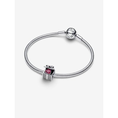 Pandora Charm Confezione Regalo Scintillante -793603C01